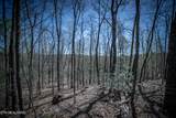  Fall Creek Rd - Photo 10