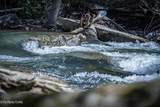  Fall Creek Rd - Photo 12