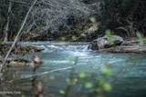  Fall Creek Rd - Photo 13