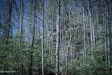  Fall Creek Rd - Photo 3