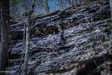  Fall Creek Rd - Photo 4
