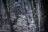  Fall Creek Rd - Photo 5