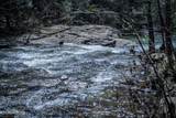  Fall Creek Rd - Photo 6