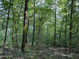 00 Chestnut Stump Rd - Photo 12
