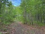  Slaven Ridge Rd - Photo 4