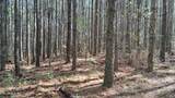 Airport Rd - Lot 24 (Pca) - Photo 23