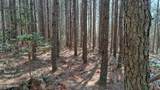  Airport Rd - Lot 24 (Pca) - Photo 26