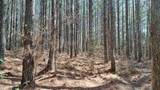  Airport Rd - Lot 24 (Pca) - Photo 27