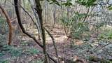  Airport Rd - Lot 24 (Pca) - Photo 37