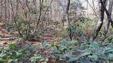  Airport Rd - Lot 24 (Pca) - Photo 39