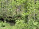 1309 Deep Draw Rd - Photo 15