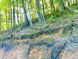 1200 Steer Creek Rd - Photo 19