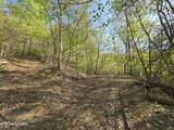 29+ACRES Boatmans Mountain - Photo 10