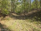 29+ACRES Boatmans Mountain - Photo 14