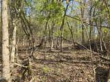 29+ACRES Boatmans Mountain - Photo 16