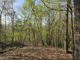 29+ACRES Boatmans Mountain - Photo 17