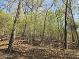 29+ACRES Boatmans Mountain - Photo 18