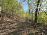 29+ACRES Boatmans Mountain - Photo 7