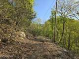 29+ACRES Boatmans Mountain - Photo 8