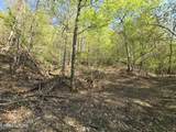 29+ACRES Boatmans Mountain - Photo 9