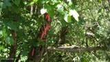 46 Billy Westmoreland Rd - Photo 3