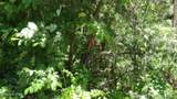 46 Billy Westmoreland Rd - Photo 4