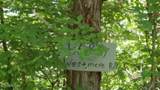 46 Billy Westmoreland Rd - Photo 5