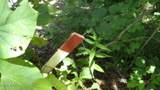 46 Billy Westmoreland Rd - Photo 7