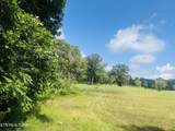 Tract 1 Mill Creek Rd - Photo 3
