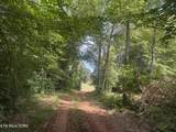 Tract 1 Mill Creek Rd - Photo 4