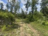 Tract 1 Mill Creek Rd - Photo 5
