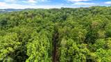 5009 Big Springs Rd - Photo 8