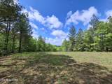 Lot 38 Stonecipher Court - Photo 4