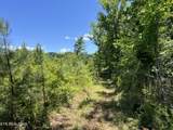256 Atkins Rd - Photo 8