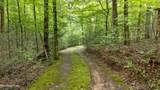 2537 Waldens Creek Rd - Photo 41