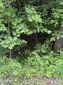 1477 Old Chilhowee Rd - Photo 17