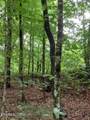 1477 Old Chilhowee Rd - Photo 22