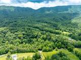 1477 Old Chilhowee Rd - Photo 3