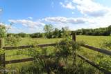 1038 Newton Lane - Photo 11