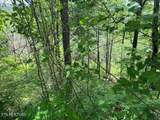 Lot 18 Turkey Creek Way - Photo 10