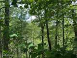 Lot 18 Turkey Creek Way - Photo 11