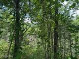 Lot 18 Turkey Creek Way - Photo 12