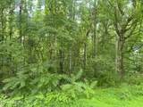 TBD Barker Rd - Photo 9
