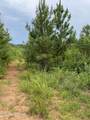 Lot 51 Three Point Rd - Photo 14