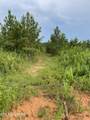 Lot 51 Three Point Rd - Photo 25