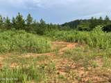 Lot 51 Three Point Rd - Photo 9