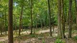 00 Lot 41 Poplar Drive - Photo 11
