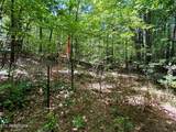 Lot 3 Highway 304 - Photo 10