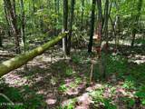 Lot 3 Highway 304 - Photo 11