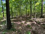 Lot 3 Highway 304 - Photo 13